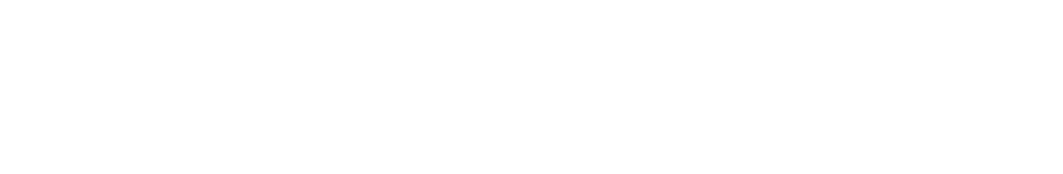SA International Travel and Tours